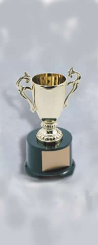 Item#3S1605 Cup Trophy